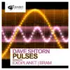 Dave Shtorn - Pulses (Remixes)